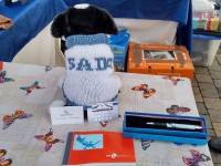 /album/galleria-fotografica/received-778075142321929-1-jpeg/